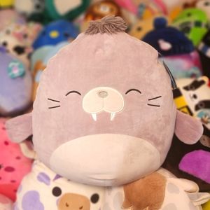 KWAME 🦭 ☆FTM☆ Purple Gray Walrus Original Squishmallows by Kelly Toy ☆》NWT《☆